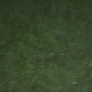 Meet your Posher, Krys